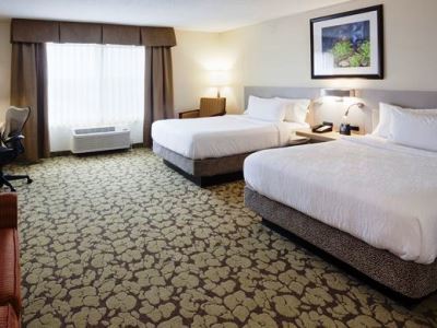 Hilton Garden Minneapolis 3*