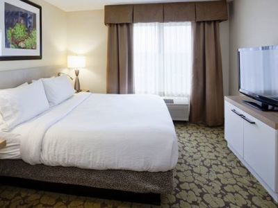 Hilton Garden Minneapolis Hotel
